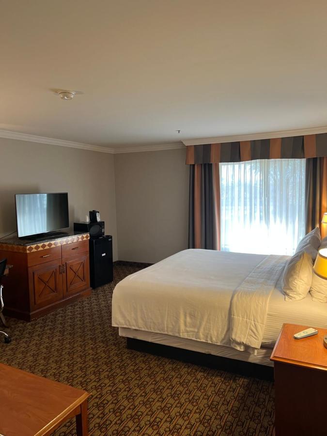 Hotel Xola โมเรโนวัลเลย์ ภายนอก รูปภาพ
