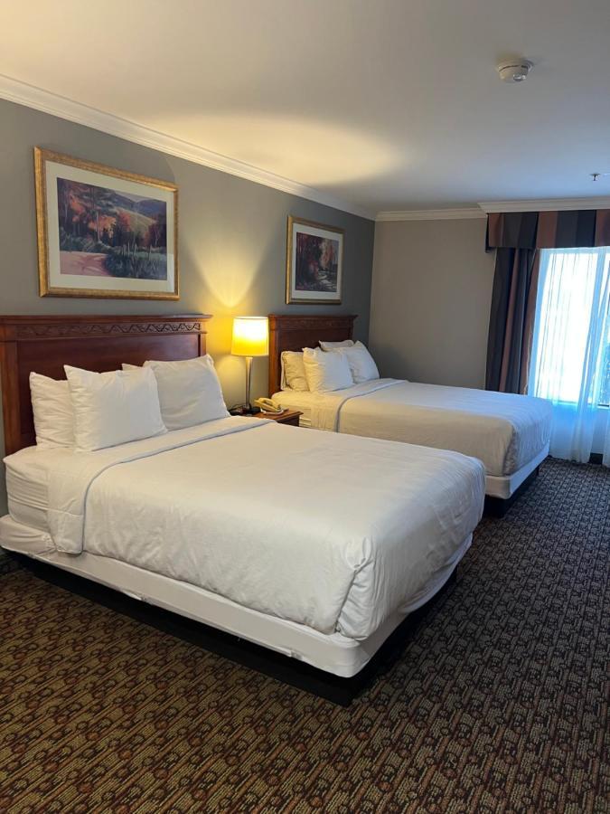 Hotel Xola โมเรโนวัลเลย์ ภายนอก รูปภาพ