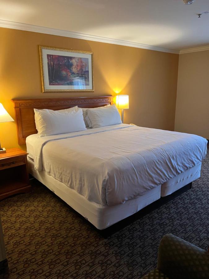 Hotel Xola โมเรโนวัลเลย์ ภายนอก รูปภาพ