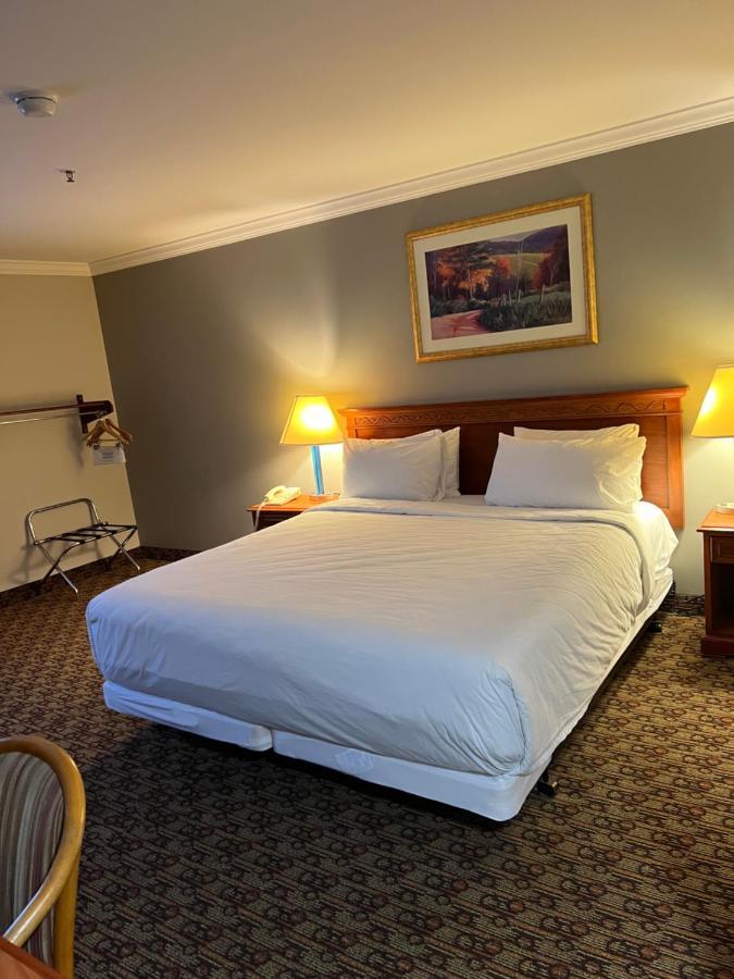 Hotel Xola โมเรโนวัลเลย์ ภายนอก รูปภาพ