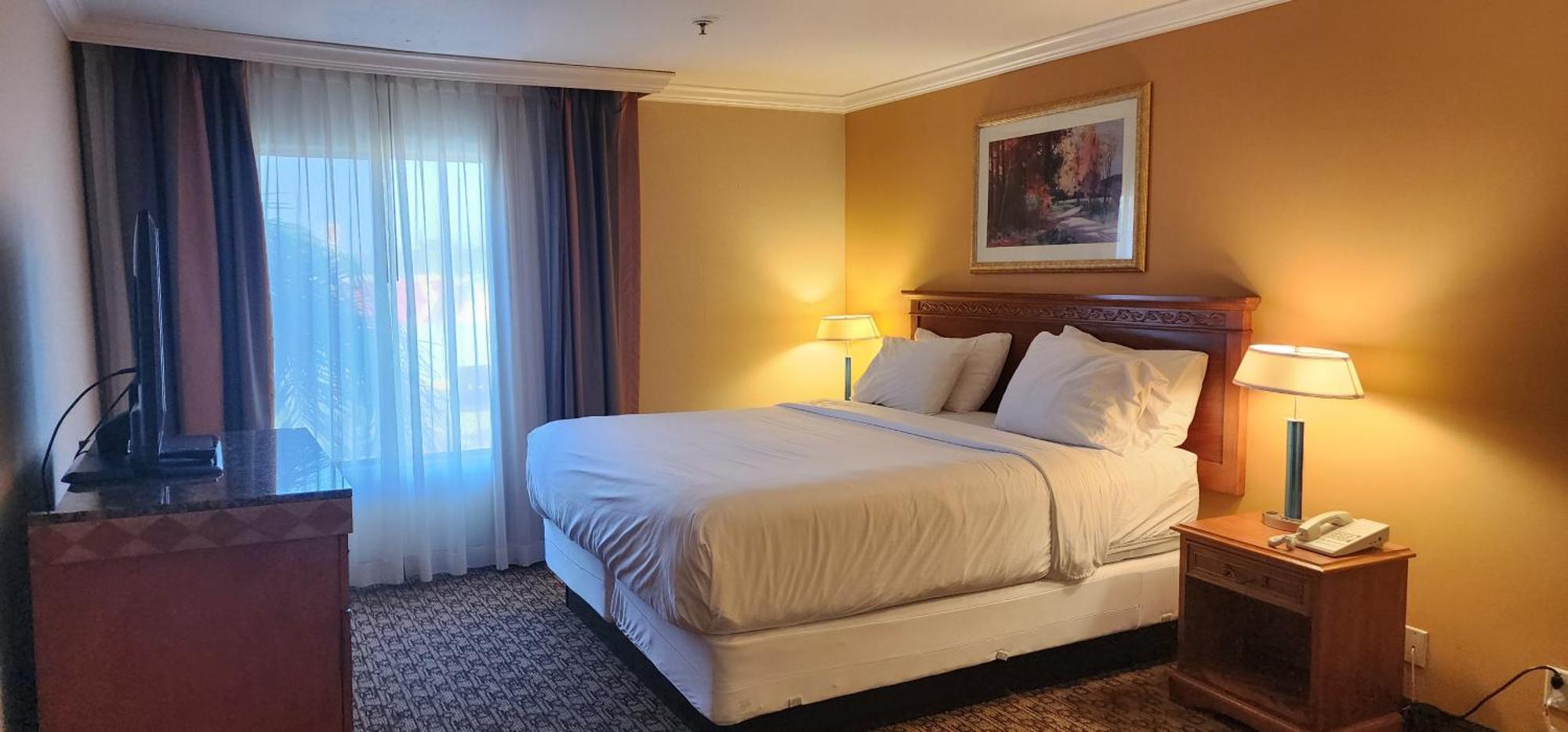 Hotel Xola โมเรโนวัลเลย์ ภายนอก รูปภาพ