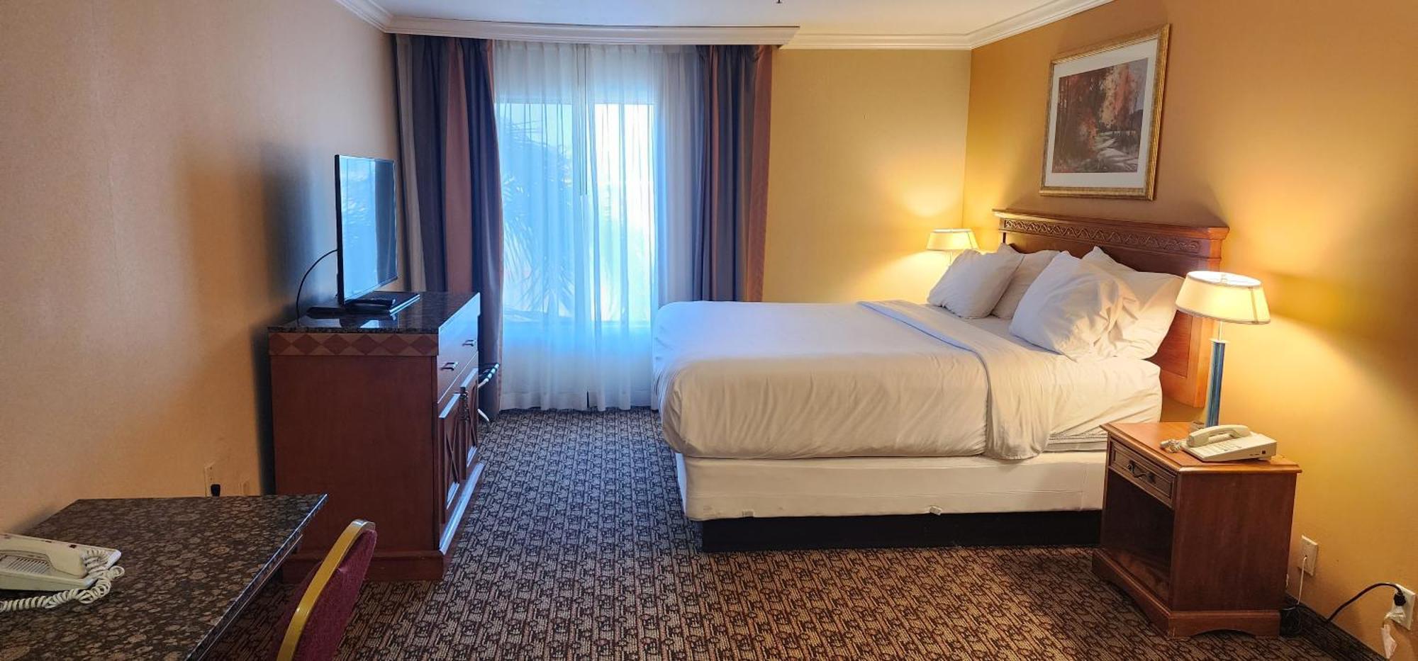 Hotel Xola โมเรโนวัลเลย์ ภายนอก รูปภาพ