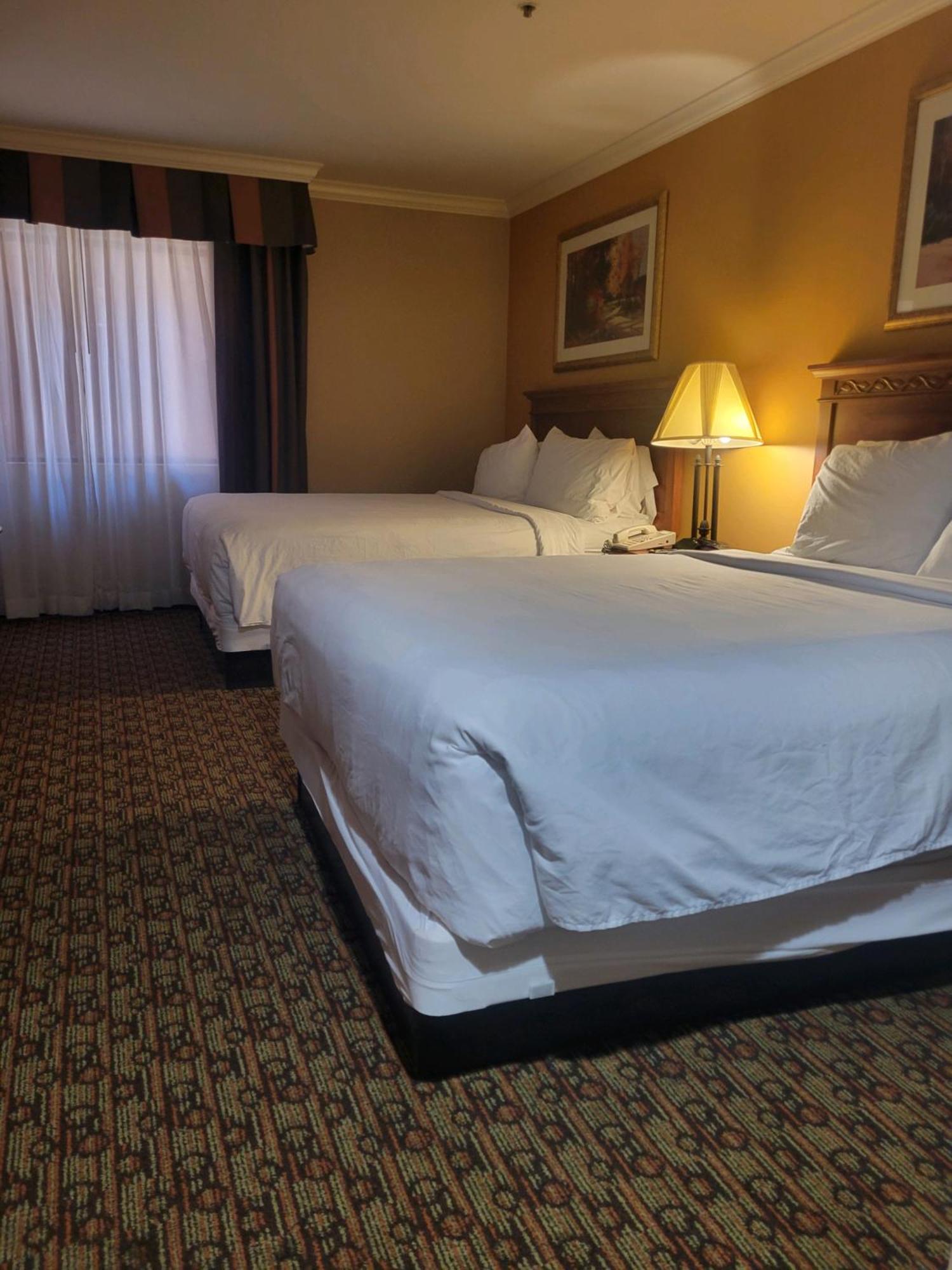 Hotel Xola โมเรโนวัลเลย์ ภายนอก รูปภาพ