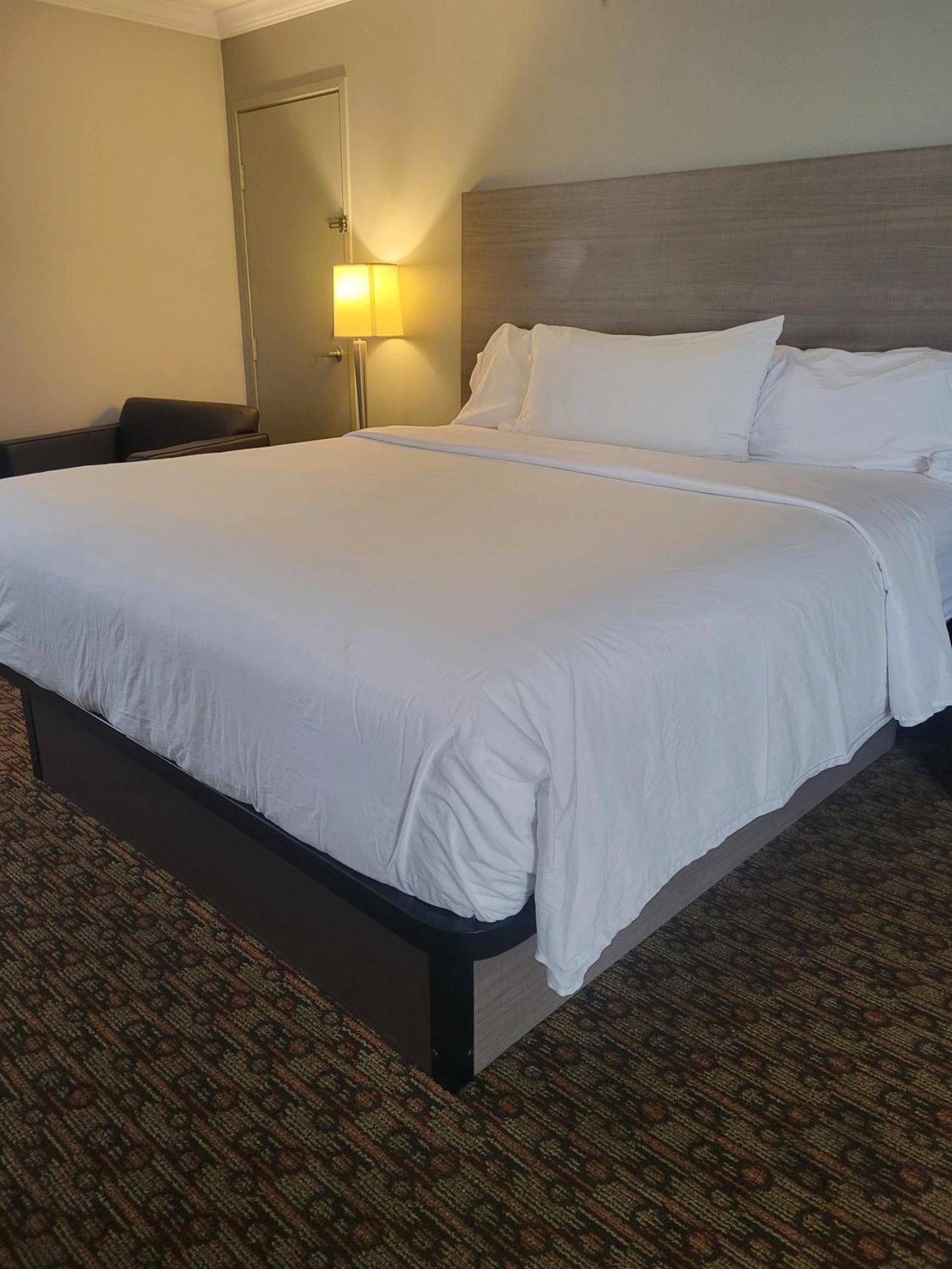 Hotel Xola โมเรโนวัลเลย์ ภายนอก รูปภาพ